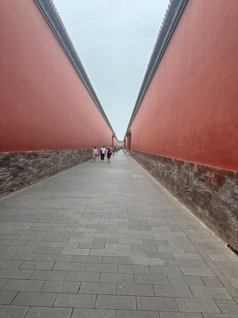 Image 14